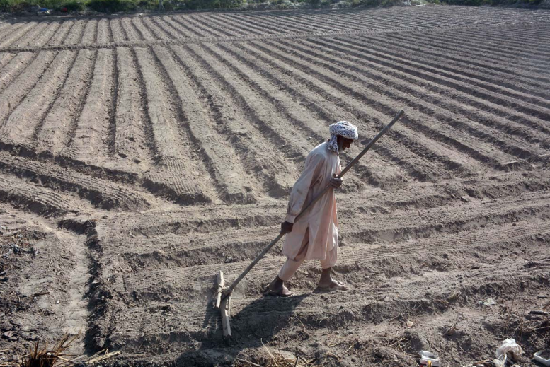 He Feeds A Nation, Yet Struggles To Feed Himself